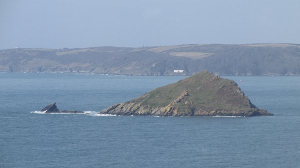The Mewstone in Wembury bay - viewed from the coastal path. The Mewstone in Wembury bay - viewed from the coastal path.