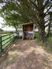 The Camp Kitchen