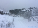 Higher Shippen - Beast from the East 2017